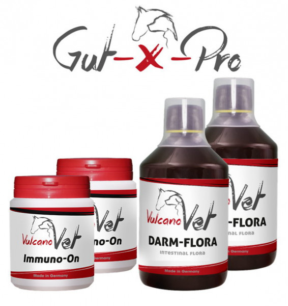 VulcanoVet Gut-X-Pro immun 50kg