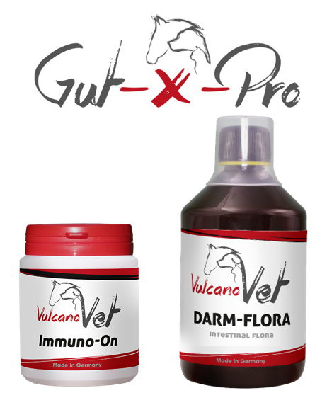 VulcanoVet Gut-X-Pro immun 30kg