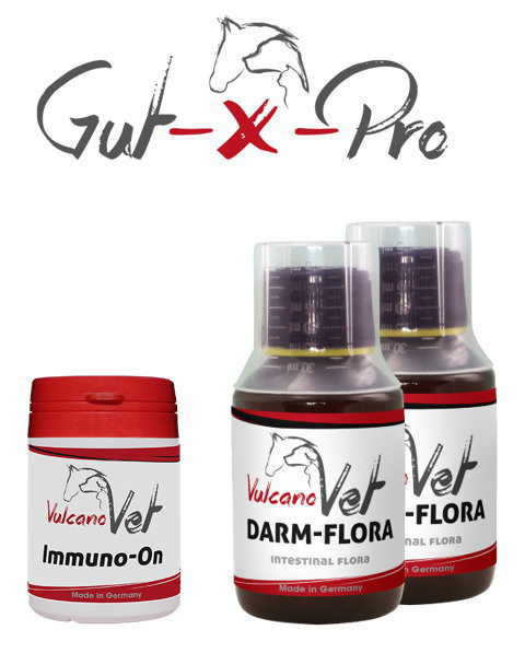 VulcanoVet Gut-X-Pro immun 10kg