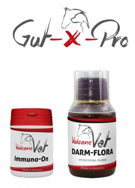 VulcanoVet Gut-X-Pro immun 5kg