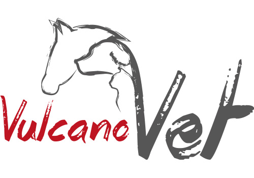 (c) Vulcano.vet