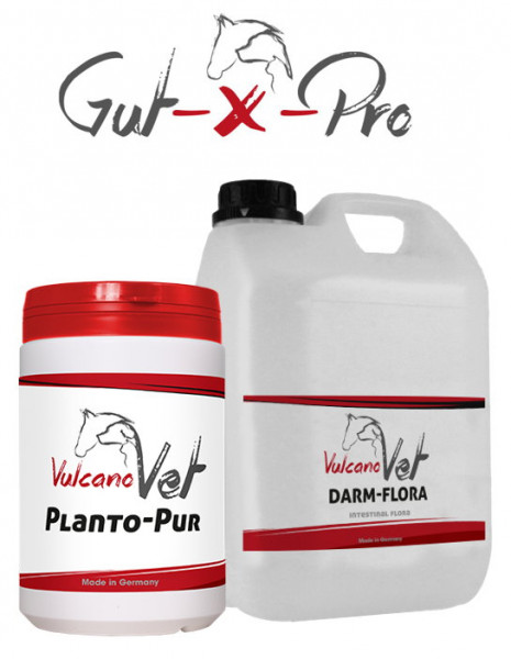 VulcanoVet Gut-X-Pro basic 60kg